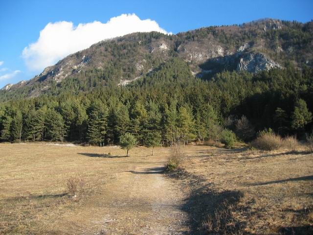 Smokuški vrh (Vrh Peči), 22.1.2005 - foto povečava