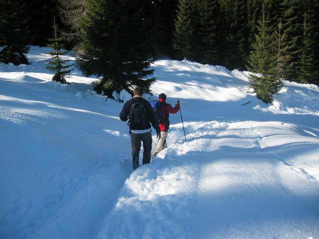 Jerebikovec (Mežakla), 16.1.2005 - foto