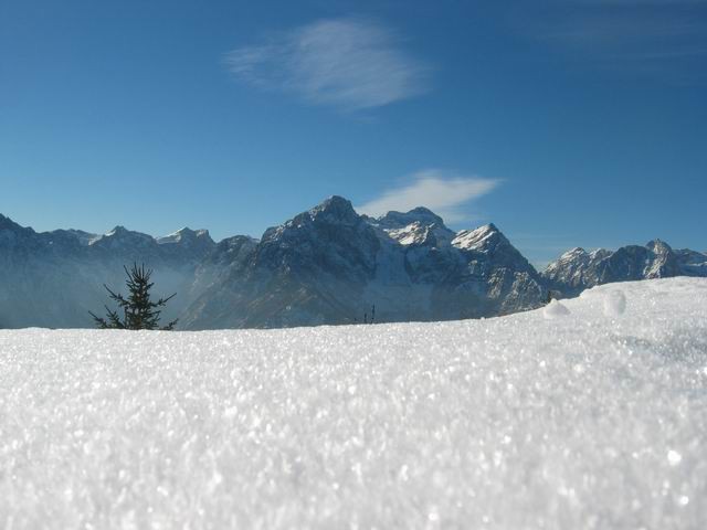 Jerebikovec (Mežakla), 16.1.2005 - foto