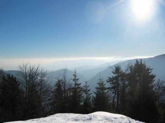 Jerebikovec (Mežakla), 16.1.2005 - foto