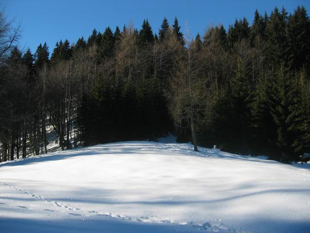 Jerebikovec (Mežakla), 16.1.2005 - foto