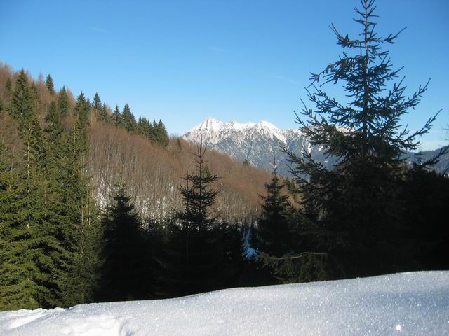 Jerebikovec (Mežakla), 16.1.2005 - foto