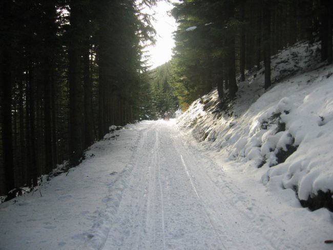 Kranjska reber, Lepenatka, 2.1.2005 - foto povečava