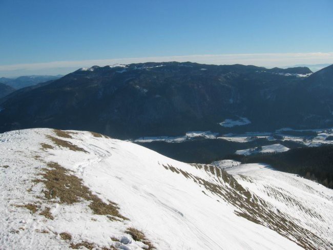 Kranjska reber, Lepenatka, 2.1.2005 - foto povečava