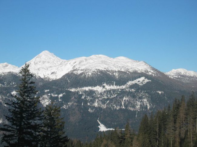 Kranjska reber, Lepenatka, 2.1.2005 - foto povečava