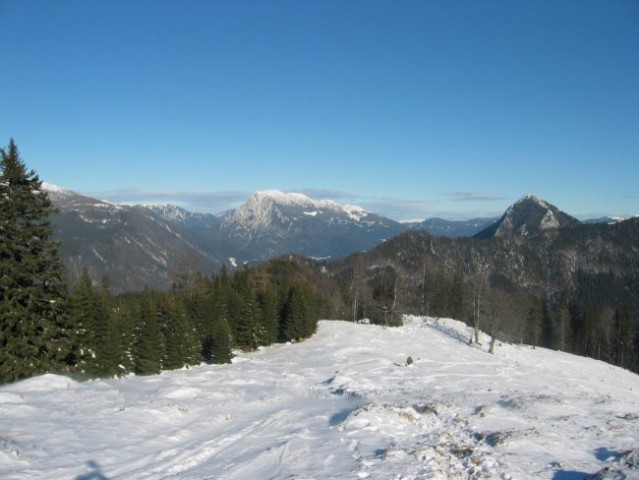 Kranjska reber, Lepenatka, 2.1.2005 - foto