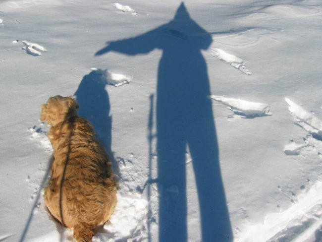 Kranjska reber, Lepenatka, 2.1.2005 - foto povečava