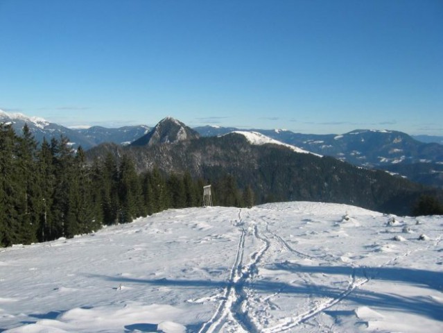 Kranjska reber, Lepenatka, 2.1.2005 - foto