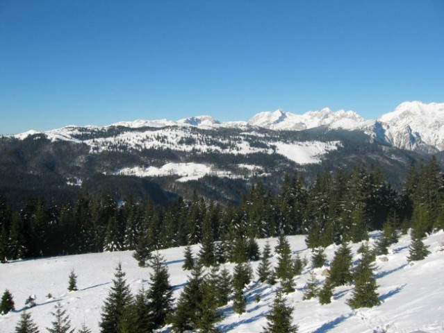 Kranjska reber, Lepenatka, 2.1.2005 - foto