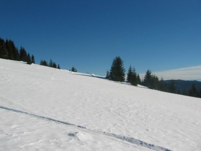 Kranjska reber, Lepenatka, 2.1.2005 - foto