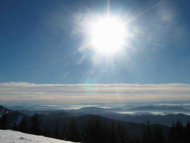 Kranjska reber, Lepenatka, 2.1.2005 - foto