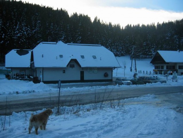 Kranjska reber, Lepenatka, 2.1.2005 - foto