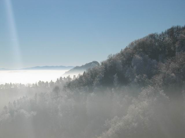 Govejek, Osolnik, 11.12.2004 - foto