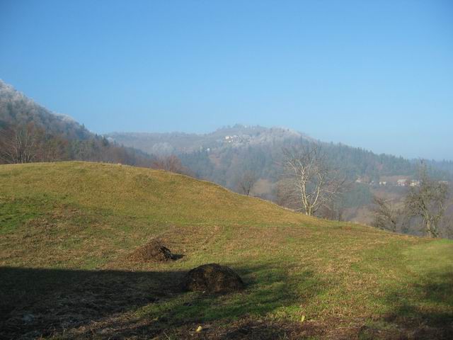 Govejek, Osolnik, 11.12.2004 - foto
