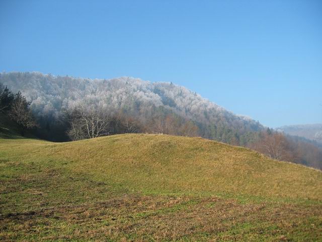 Govejek, Osolnik, 11.12.2004 - foto