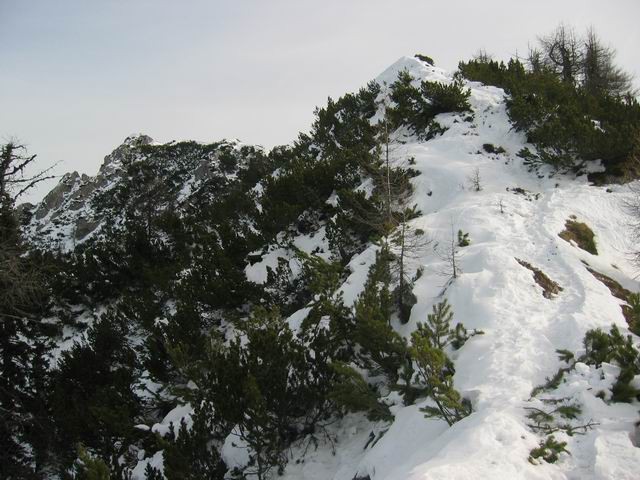 Trupejevo poldne, 28.11.2004  - foto