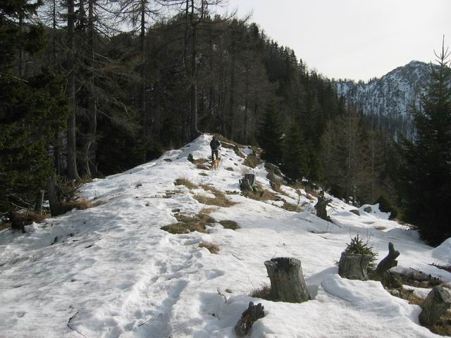 Trupejevo poldne, 28.11.2004  - foto