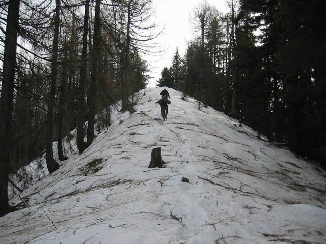 Trupejevo poldne, 28.11.2004  - foto povečava