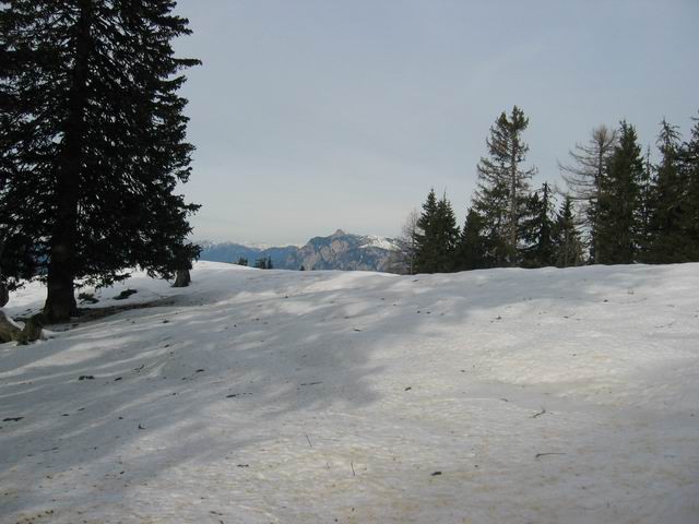 Trupejevo poldne, 28.11.2004  - foto