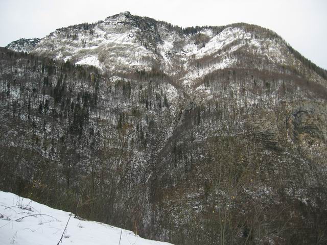 Rjava skala (Vogel), 14.11.2004 - foto