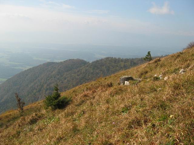 Javorov vrh, Hudičev boršt, Potoška gora, 18. - foto