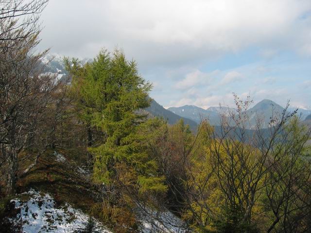 Javorov vrh, Hudičev boršt, Potoška gora, 18. - foto povečava