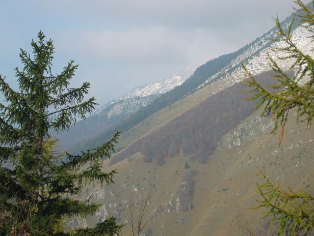 Javorov vrh, Hudičev boršt, Potoška gora, 18. - foto