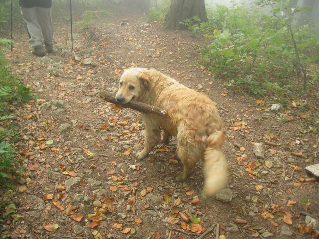 Blegoš, 12.9.2004 - foto