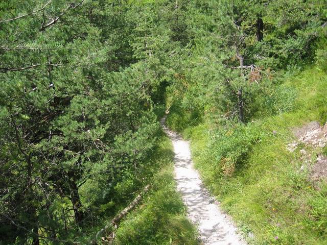 Grmada, Tošč, 15.8.2004 - foto povečava