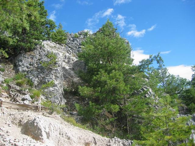 Grmada, Tošč, 15.8.2004 - foto