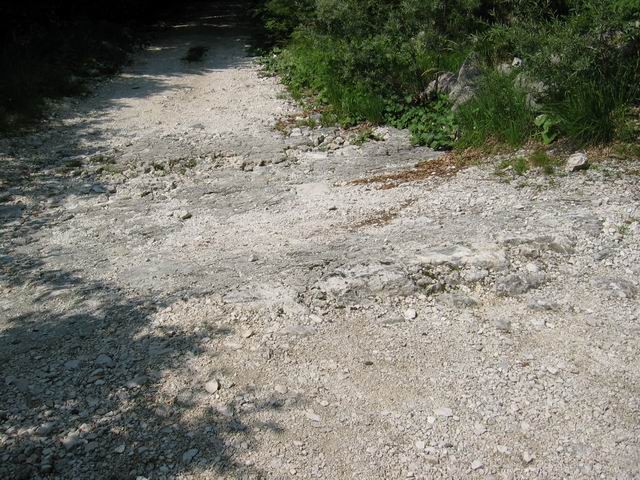 Jezersko sedlo, korita Možnice, 5.8.2004 - foto