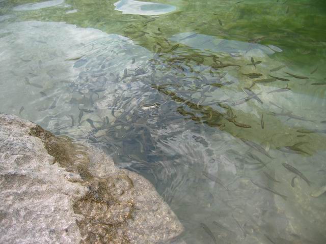 Velika Baba, Krnsko jezero, 3.8.2004 - foto povečava