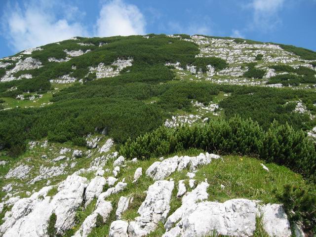 Velika Baba, Krnsko jezero, 3.8.2004 - foto povečava