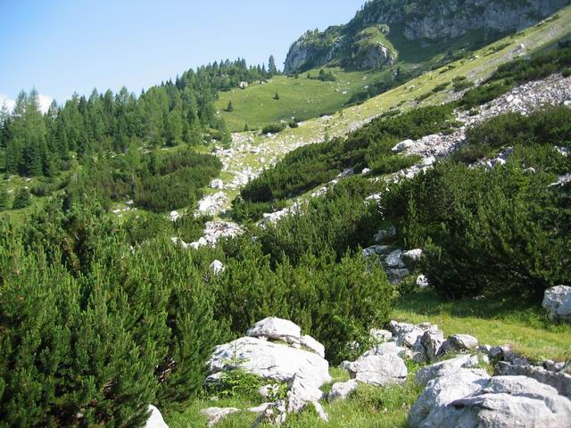 Velika Baba, Krnsko jezero, 3.8.2004 - foto povečava