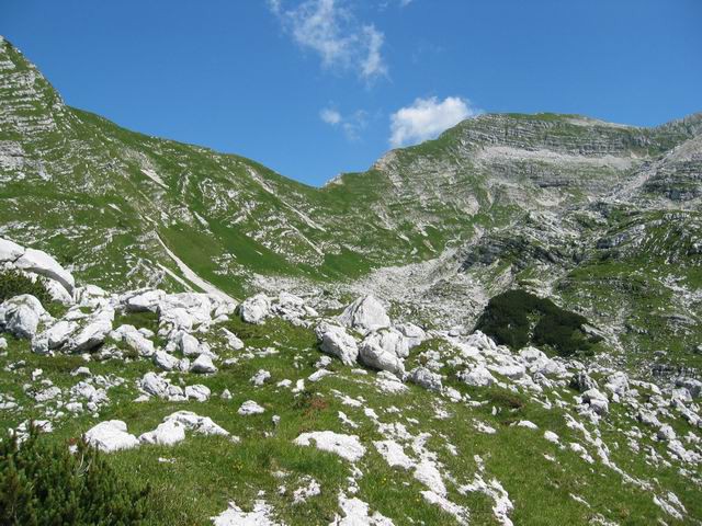 Travnik, 31.7.2004 - foto povečava