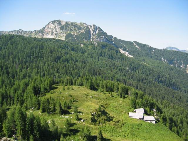 Travnik, 31.7.2004 - foto povečava