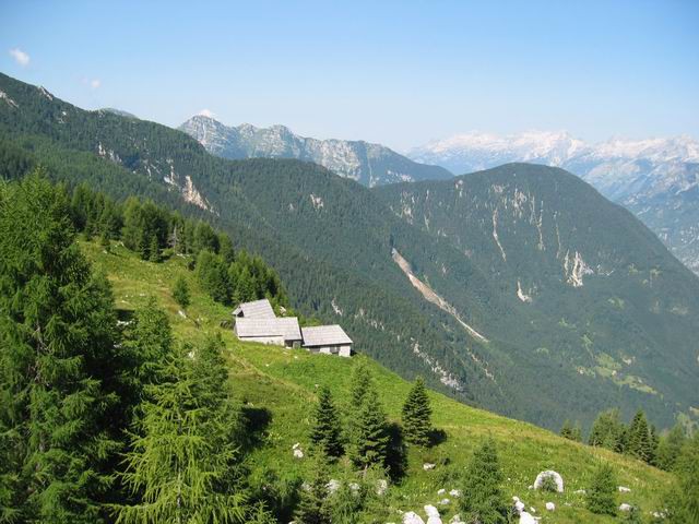 Travnik, 31.7.2004 - foto povečava