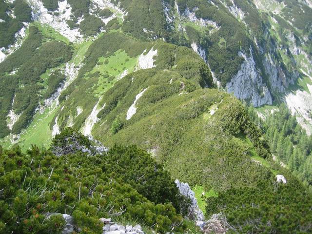 Stogi in Ogradi, 18.7.2004 - foto