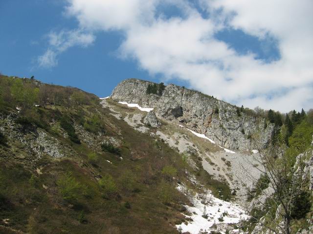 Ratitovec, 30.5.2004 - foto povečava