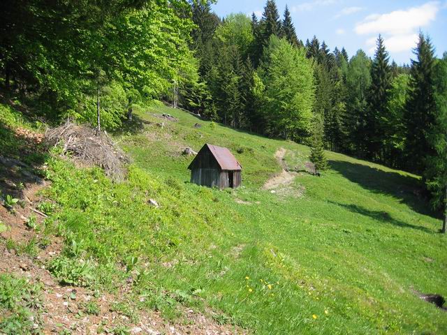 Ratitovec, 30.5.2004 - foto povečava