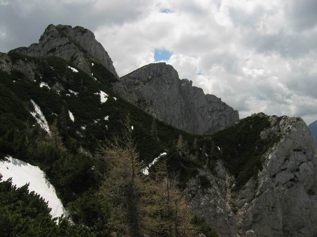 Velika planina, Konj, 14.5.2004 - foto