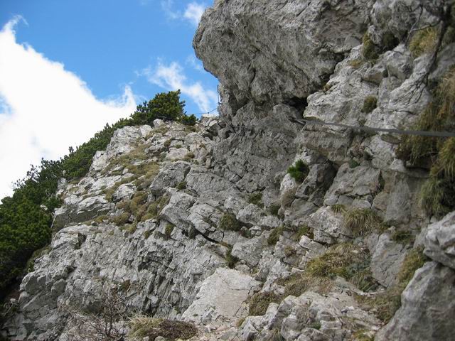 Velika planina, Konj, 14.5.2004 - foto