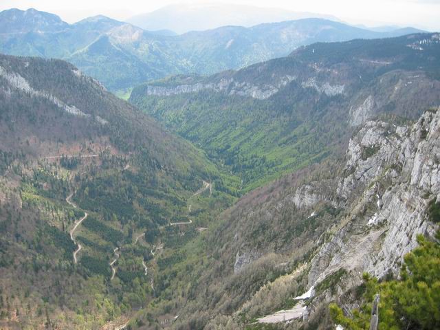 Velika planina, Konj, 14.5.2004 - foto