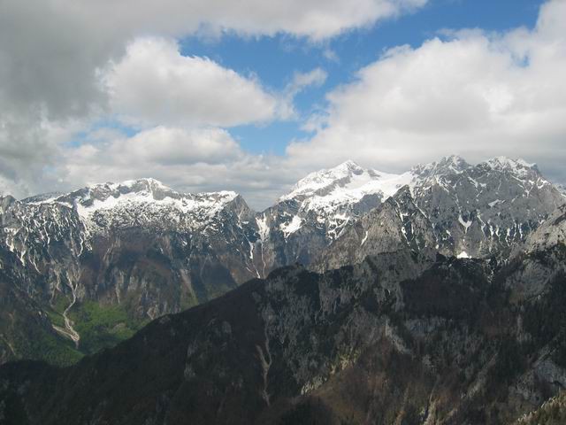 Velika planina, Konj, 14.5.2004 - foto