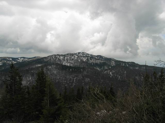 Velika planina, Konj, 14.5.2004 - foto povečava