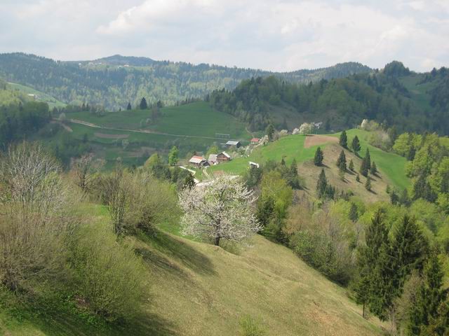 Grmada, Tošč, Selo, Črni vrh, 2.5.2004 - foto povečava