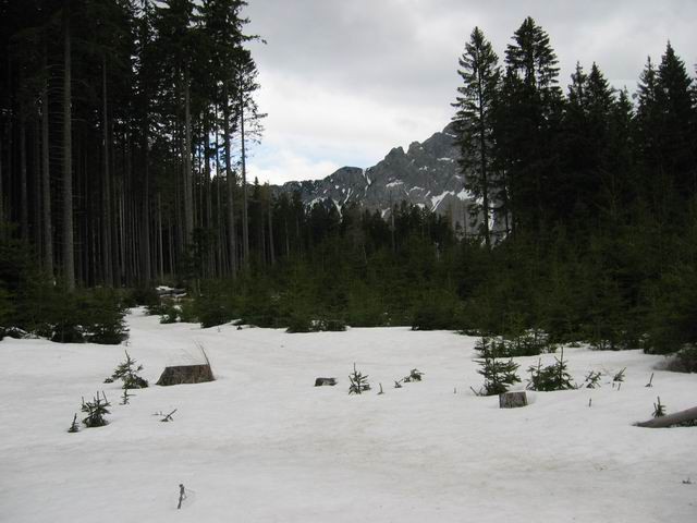 Kofce, Toplar, Kofce gora, 25.4.2004 - foto povečava