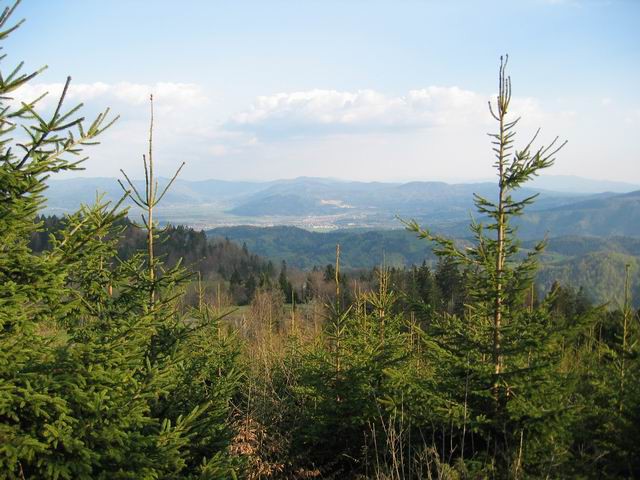 Kožljek, Koreno nad Horjulom, 22.4.2004 - foto povečava