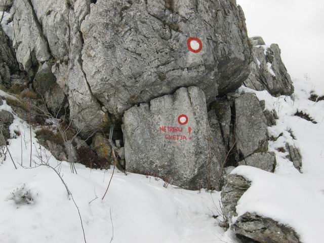 Čaven, Kucelj, 28.3.2004 - foto povečava