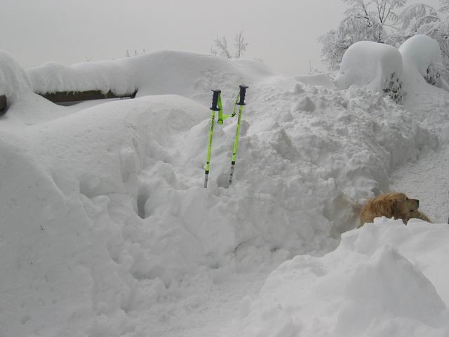 Lubnik, 29.2.2004 - foto povečava